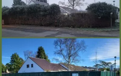 Remplacement d’une haie de thuyas par une clôture rigide occultante aux Essarts-le-Roi (78)